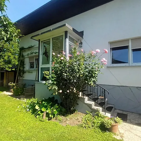 The * 穆尔斯卡索博塔