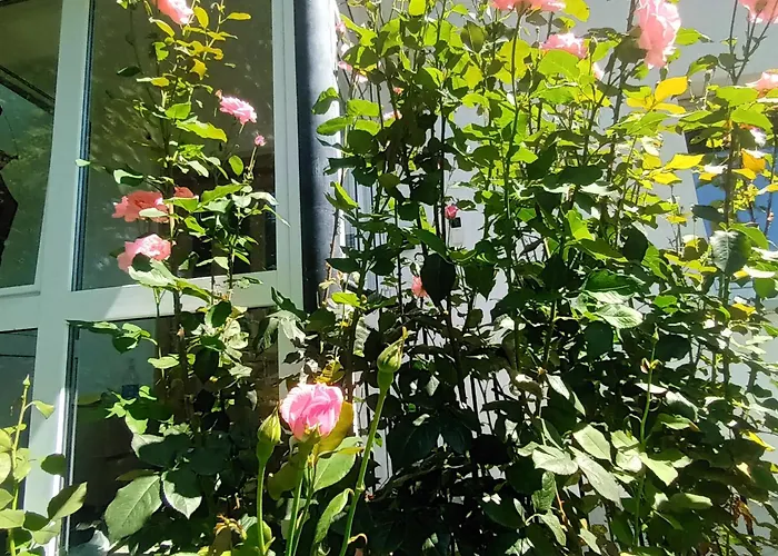 بيت للعطل The